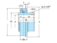Stainless Steel Insert Bearing