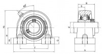 SSUCPA200 Series