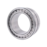 Double Row Full Complement Cylindrical Roller Bearings